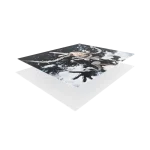 PRISM 1